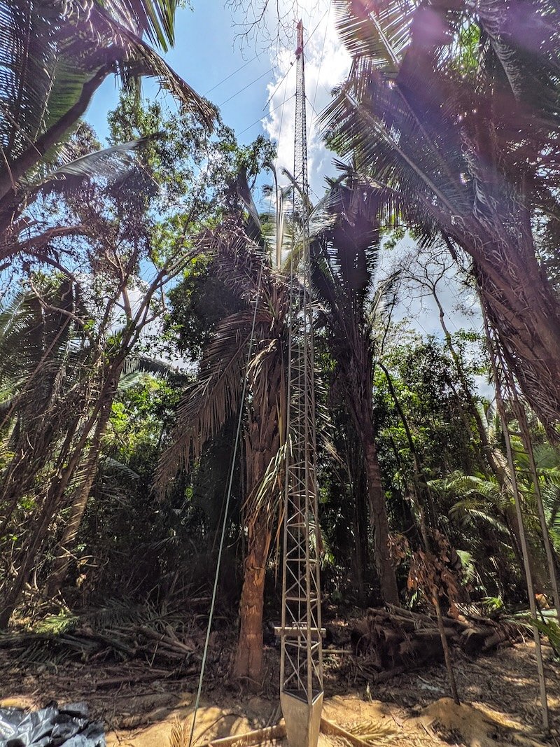 Torre metálica treliçada vista de baixo, entre palmeiras e árvores altas