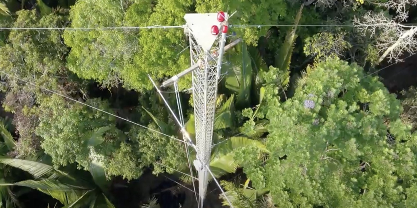Torre metálica com instrumentos vista de cima, cercada pelas copas das árvores
