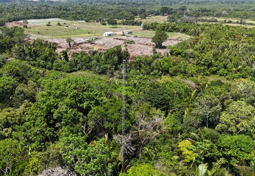 Vista aérea de uma torre metálica estreita acima das copas das árvores, com uma área aberta ao fundo
